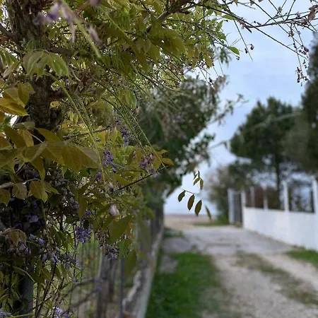 Endless Green: Feel Free And Cozy In Nature * Perivólion