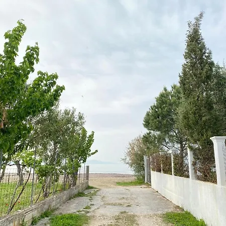 Endless Green: Feel Free And Cozy In Nature Appartement