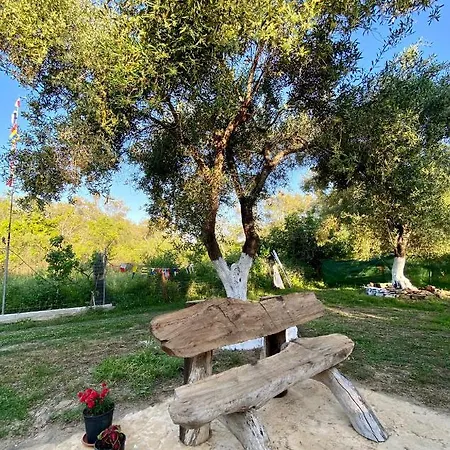 Endless Green: Feel Free And Cozy In Nature דירה *