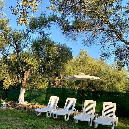 Endless Green: Feel Free And Cozy In Nature דירה *
