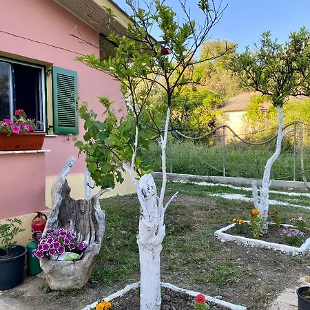 Endless Green: Feel Free And Cozy In Nature Apartmán *