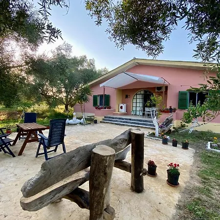 Endless Green: Feel Free And Cozy In Nature Apartment Perivolion
