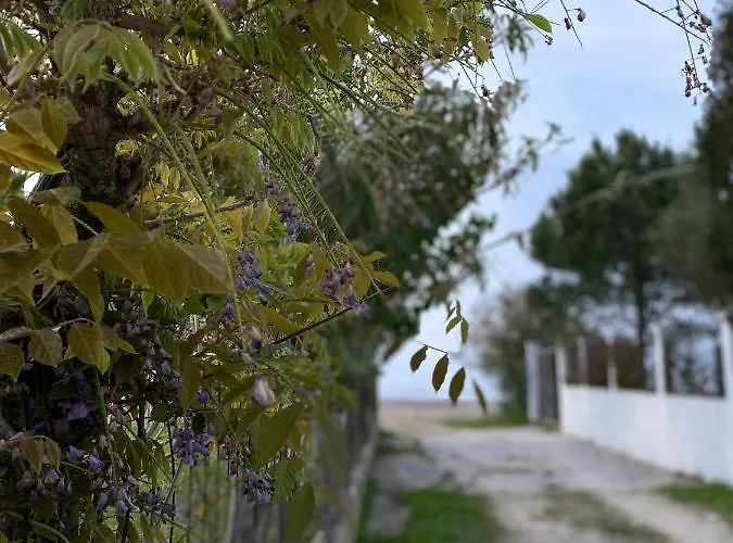 Endless Green: Feel Free And Cozy In Nature * Perivólion
