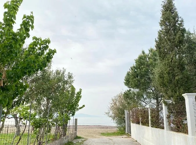 Endless Green: Feel Free And Cozy In Nature 公寓